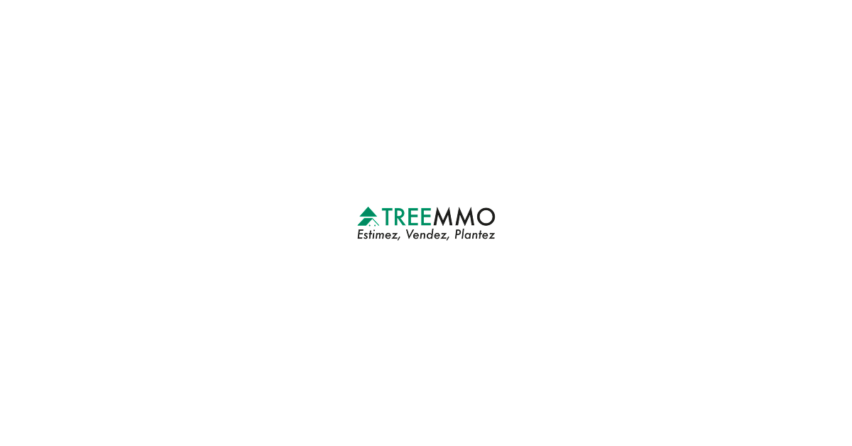 Logo de l'agence TREEMMO
